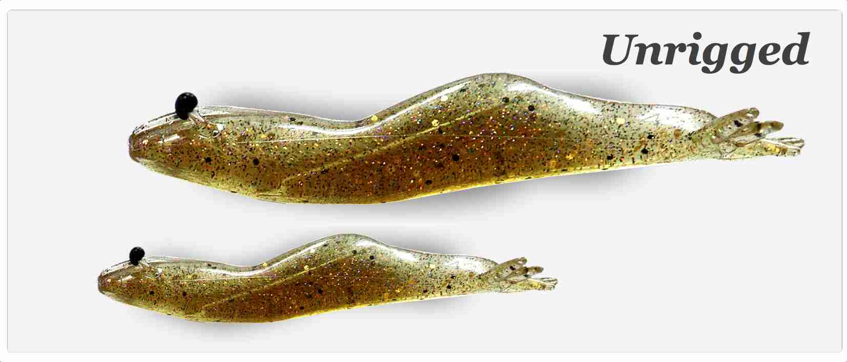 Unrigged Jelly Prawn